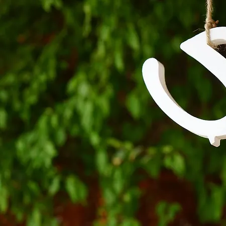 酒店 Piano - Adults Only 塞利米耶