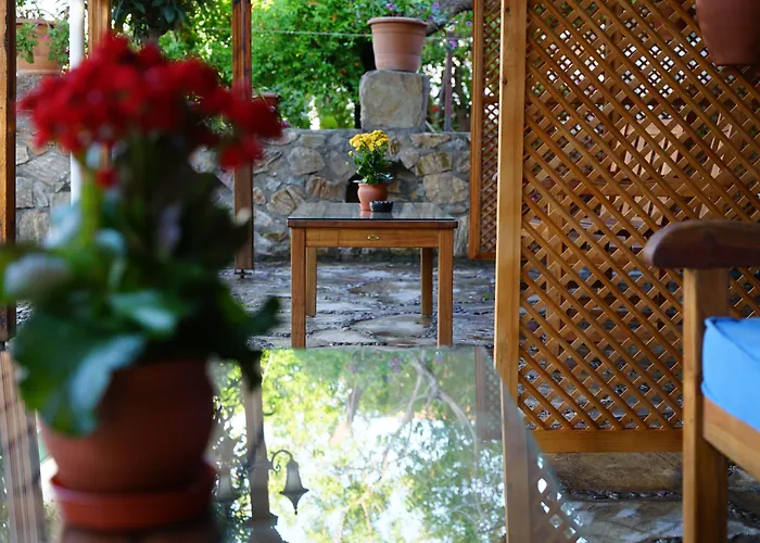 Hotel Piano - Adults Only *